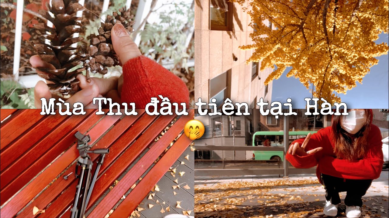 Mùa thu đầu tiên tại Hàn có gì vui   Unbox đồ từ Việt Nam